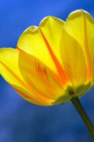 Cover of Close-Up of a Yellow Tulip Journal