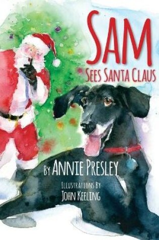 Cover of Sam Sees Santa Claus