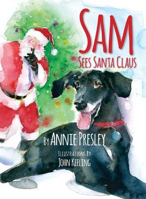Book cover for Sam Sees Santa Claus