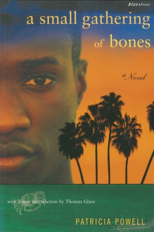 Cover of A Small Gathering of Bones
