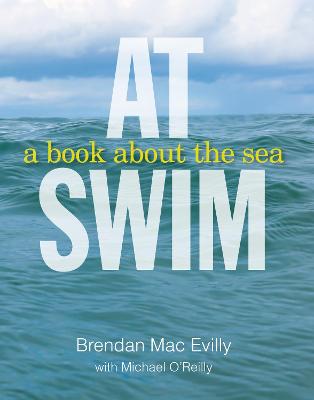 Book cover for At Swim