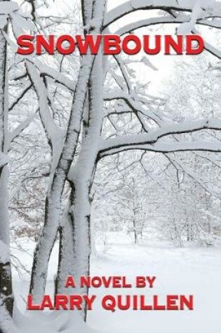 Cover of Snowbound