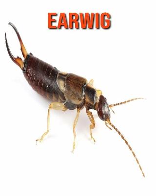 Book cover for Earwig