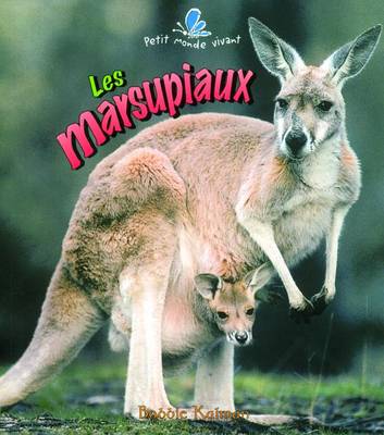 Book cover for Les Marsupiaux