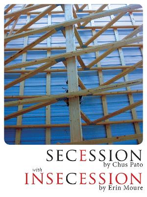 Book cover for Secession/Insecession