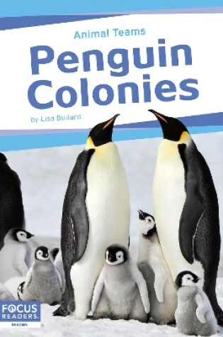 Cover of Animal Teams: Penguin Colonies