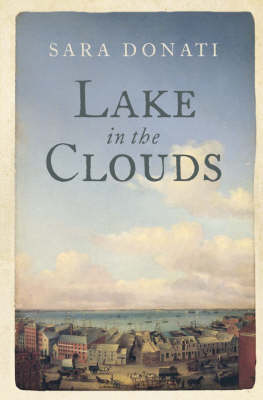 Book cover for Lake in the Clouds