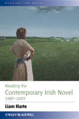 Cover of Reading the Contemporary Irish Novel 1987 - 2007