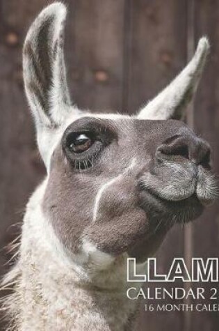 Cover of Llama Calendar 2019