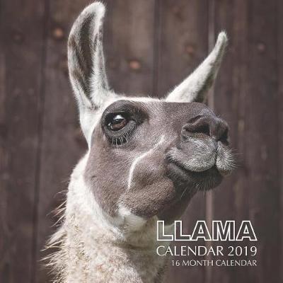 Book cover for Llama Calendar 2019