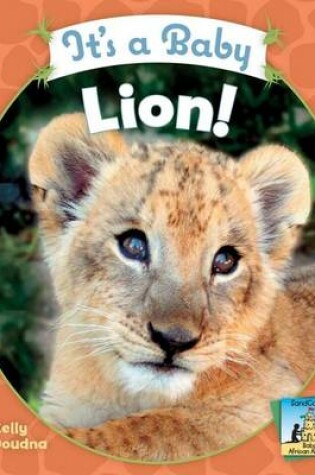 Cover of It's a Baby Lion!