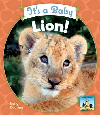 Book cover for It's a Baby Lion!