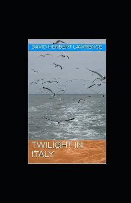 Book cover for Twilight in Italy illustrated