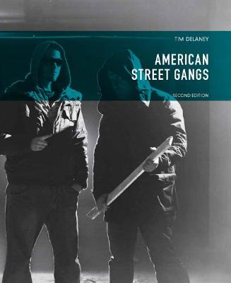 Book cover for American Street Gangs