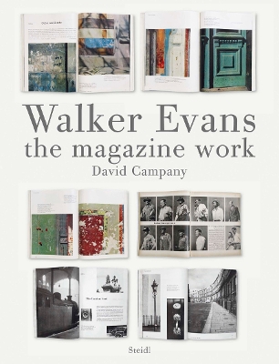 Book cover for Walker Evans