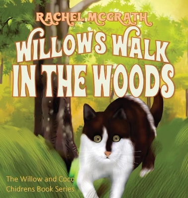 Book cover for Willow's Walk in the Woods