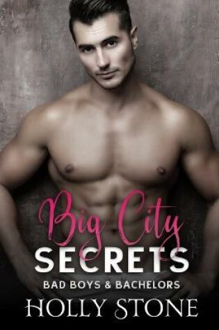 Cover of Big City Secrets