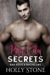 Book cover for Big City Secrets