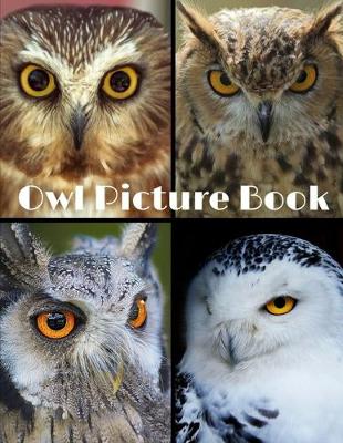 Book cover for Owl Picture Book 8.5 X 11