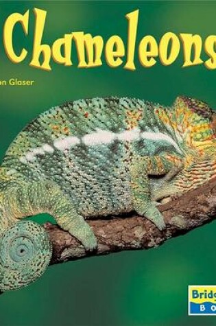 Cover of Chameleons