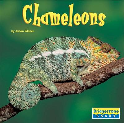 Cover of Chameleons