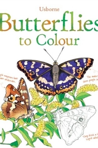 Cover of Butterflies to Colour