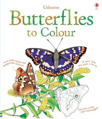 Book cover for Butterflies to Colour