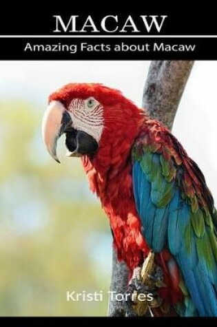 Cover of Amazing Facts about Macaw