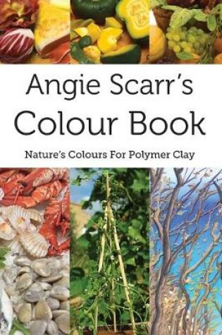 Cover of Angie Scarr's Colour Book