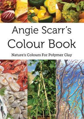 Book cover for Angie Scarr's Colour Book