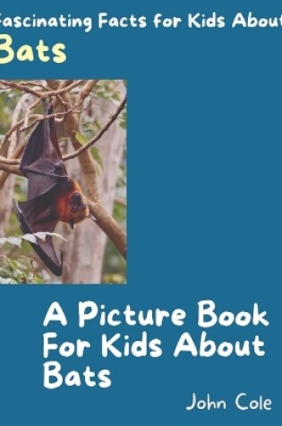 Cover of A Picture Book for Kids About Bats