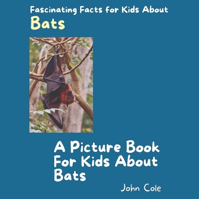 Book cover for A Picture Book for Kids About Bats