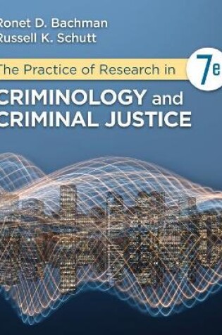 Cover of The Practice of Research in Criminology and Criminal Justice