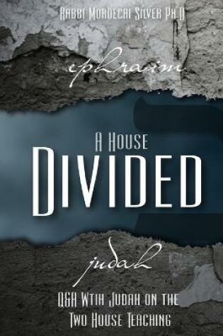 Cover of A House Divided