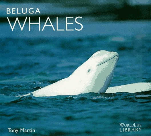 Book cover for Beluga Whales