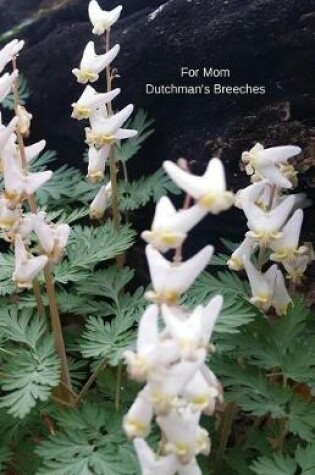 Cover of For Mom Dutchman's Breeches