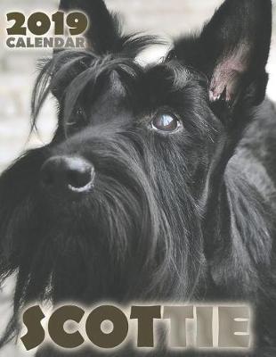 Book cover for Scottie 2019 Calendar