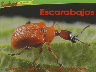 Book cover for Escarabajos