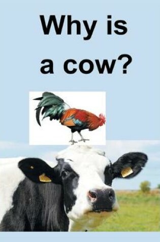 Cover of Why Is a Cow?