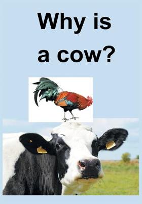 Book cover for Why Is a Cow?