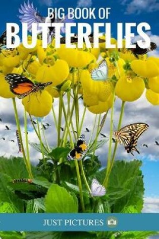 Cover of Big Book of Butterflies