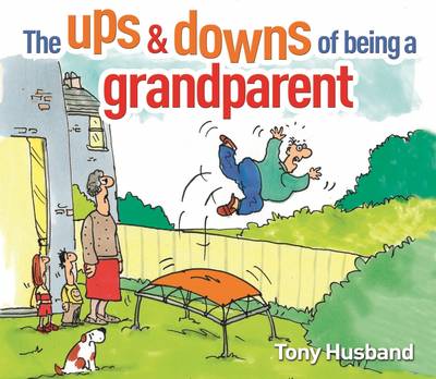 Book cover for The Ups & Downs of Being a Grandparent