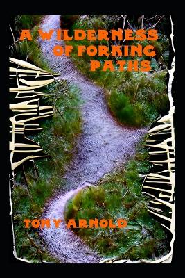 Book cover for A Wilderness of Forking Paths