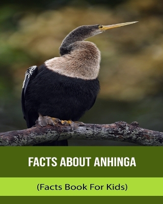 Book cover for Facts About Anhinga (Facts Book For Kids)