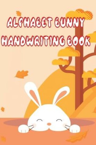 Cover of Alphabet Bunny Handwriting Book