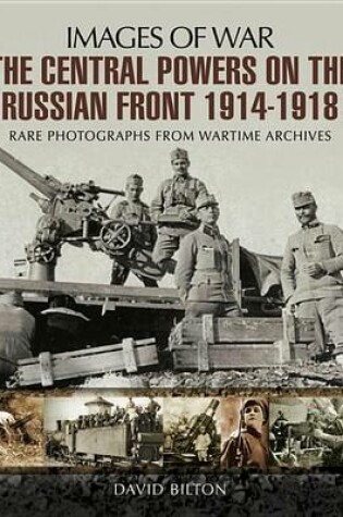 Cover of The Central Powers on the Russian Front 1914-1918