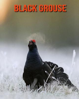 Book cover for Black Grouse