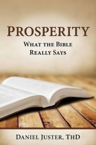 Cover of Prosperity - What The Bible Really Says