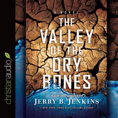 Book cover for The Valley of the Dry Bones