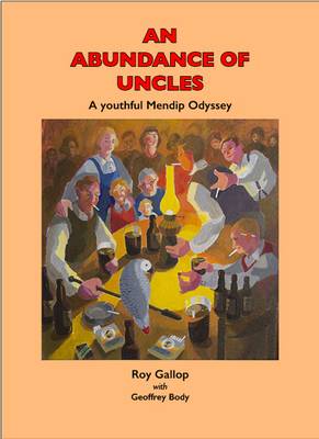 Book cover for An Abundance of Uncles